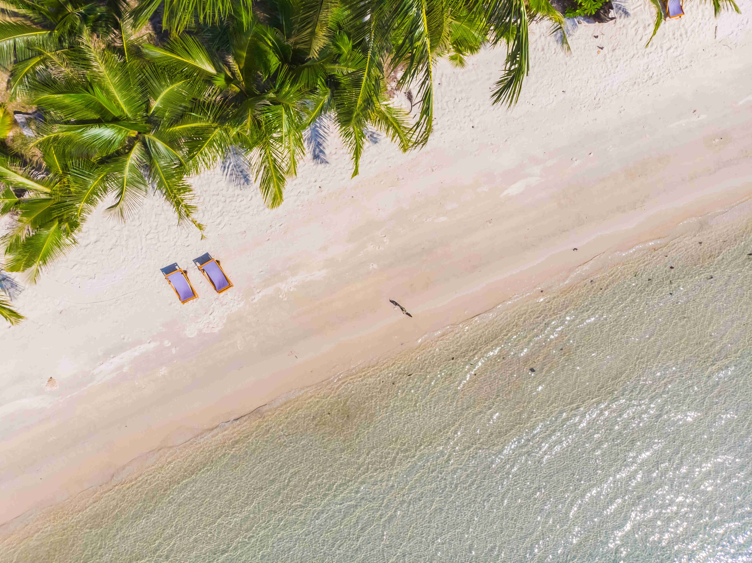 Beautiful nature tropical beach and sea with coconut palm tree o